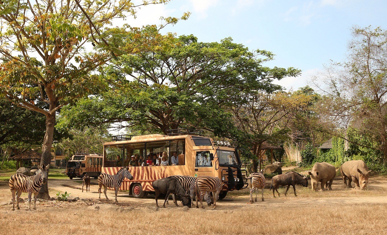 Safari Journey at Bali Safari Mara River Safari Lodge