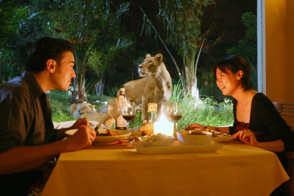 Tsavo Lion Couple Dinner at Bali Safari Mara River Safari Lodge
