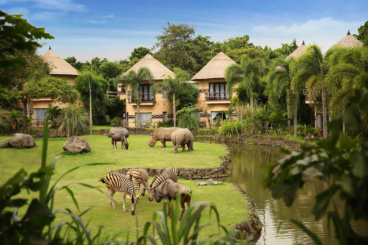 Mara river safari lodge