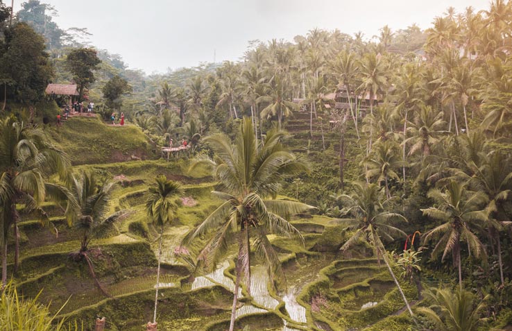 What to do in Bali during the Rainy Season