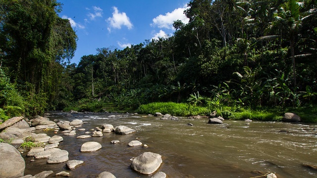 Ayung River Rafting
