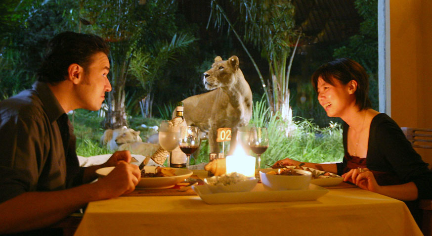 Get a unique dinner at Tsavo Lion Restaurant one of the Bali Safari Park restaurants