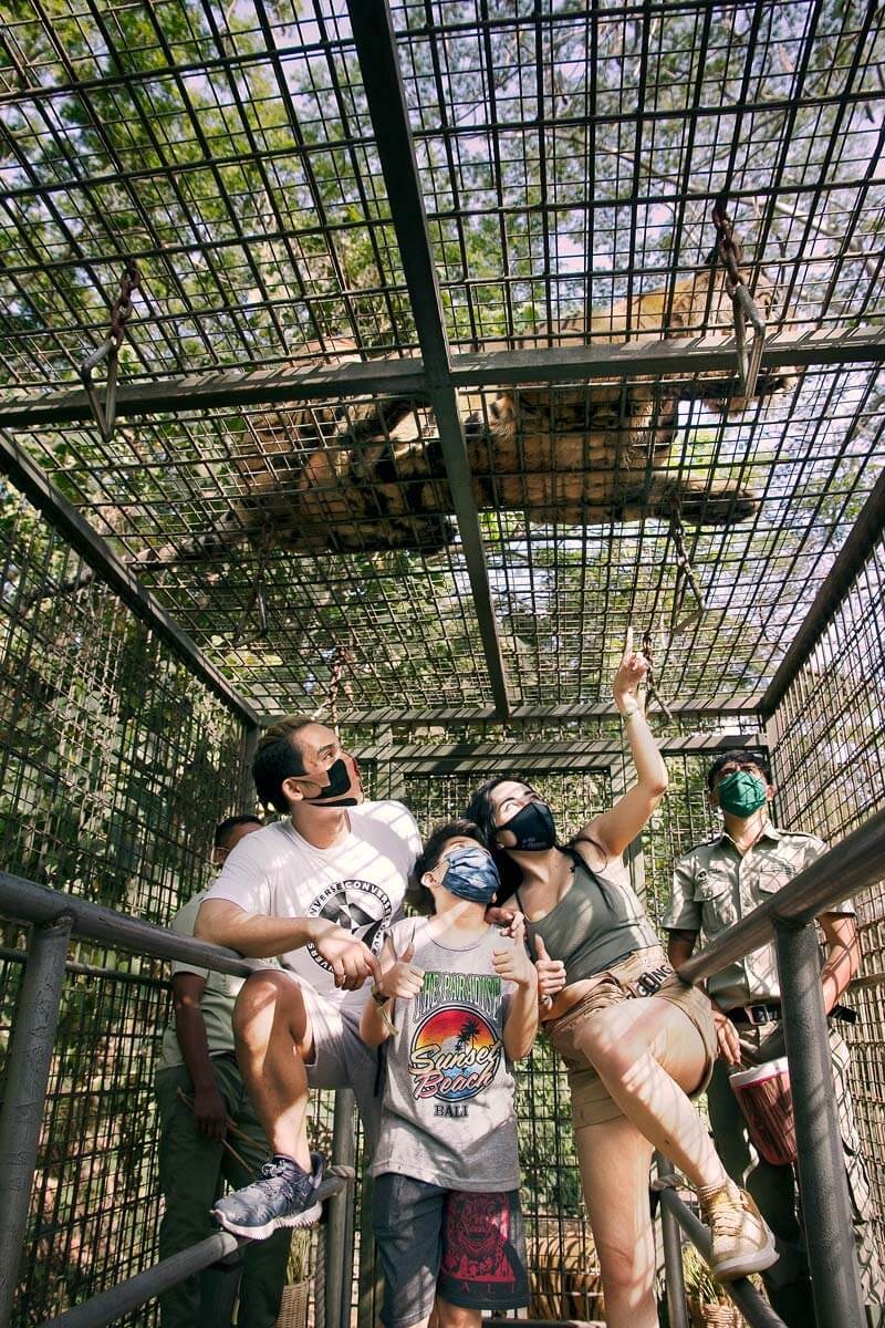 Feed the Predator at Bali Safari and Mara River Safari Lodge