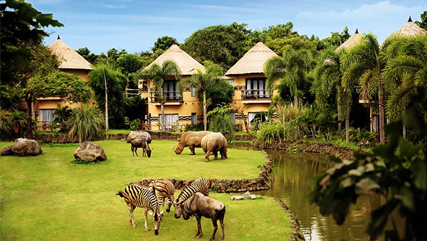 post-12172-thumbnail