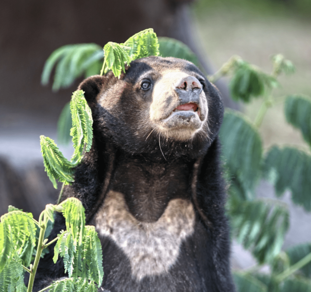 post-11157-thumbnail