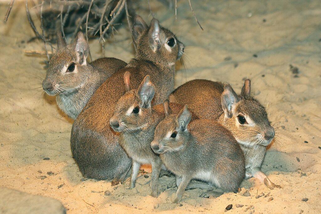 post-13003-thumbnail