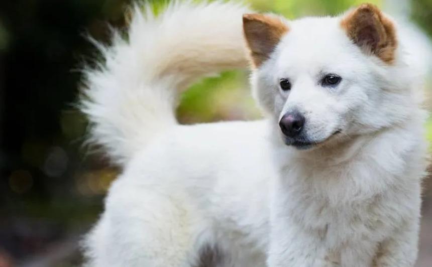 post-14749-thumbnail