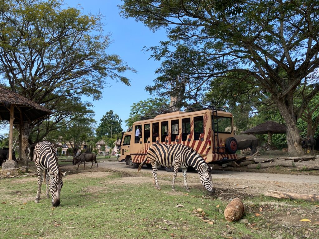 ajak keluarga liburan tahun baru 2024 ke Taman Safari Bali