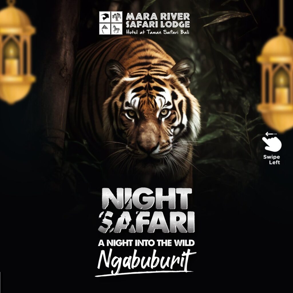 post-20427-thumbnail