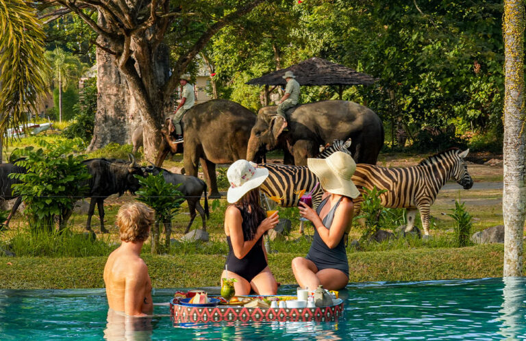 Safari Nyepi Sensation promo from Mara River Safari